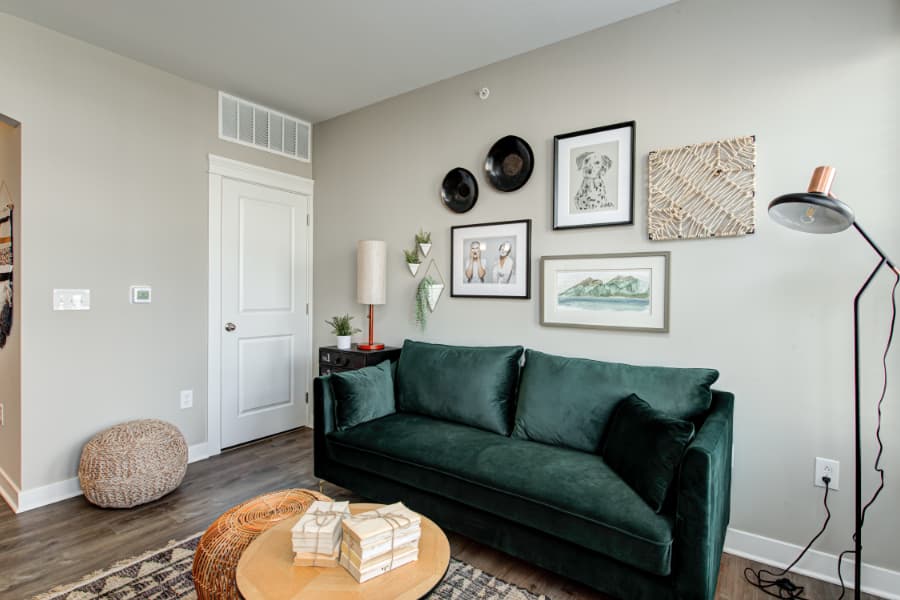 Apartment living area with sofa, wall decor, and lamp